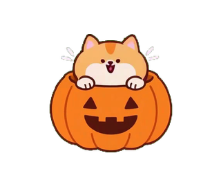 かぼちゃから顔を出すねこ